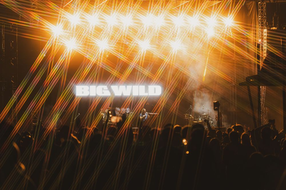 Concert crowd silhouettes illuminated by bright orange stage lights and lens flares during a live performance.