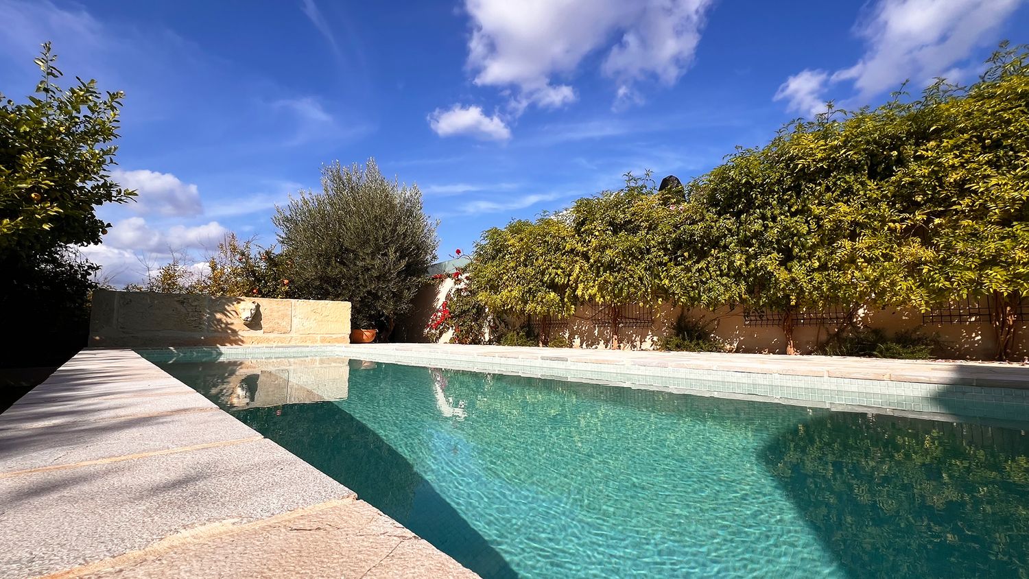 Rectangular swimming pool with stone deck surrounded by lush garden landscaping.