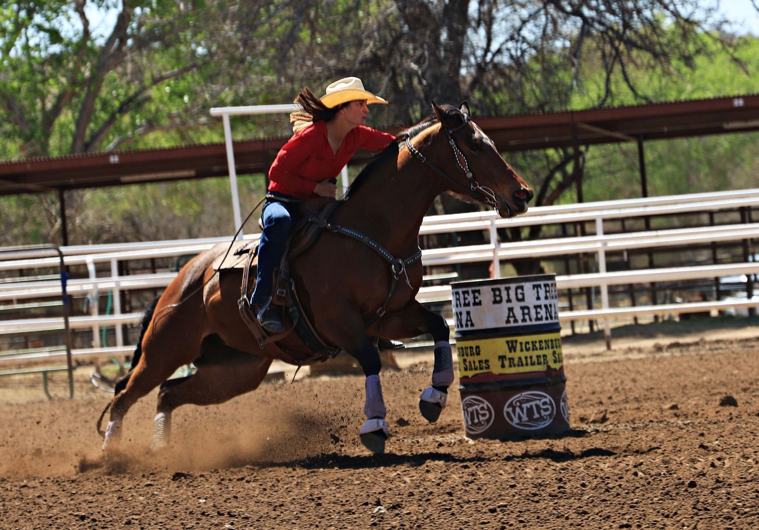 Down Town Arena Barrel Racer Image