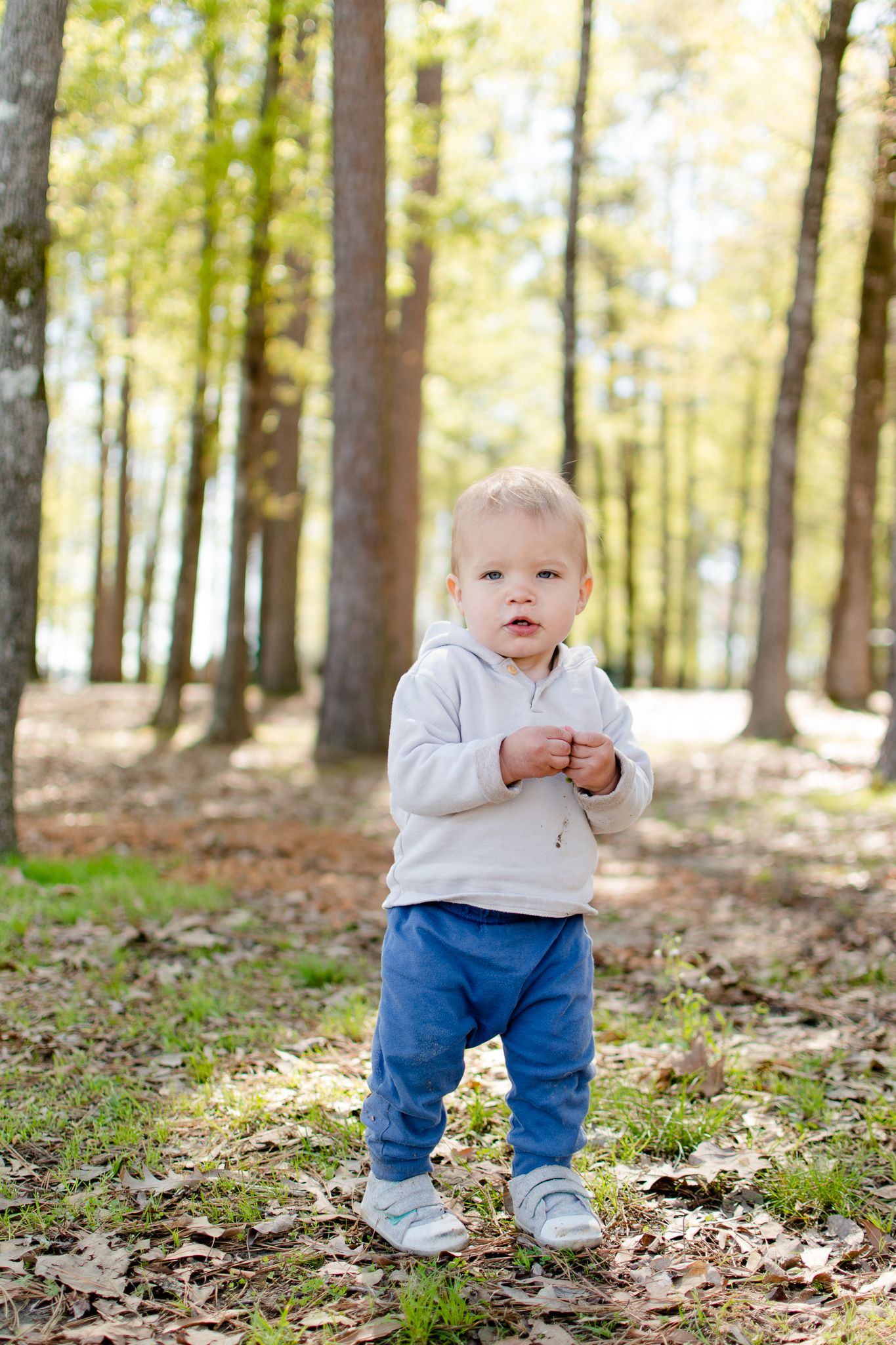 Small child in gray sweater and blue pants standing on fallen leaves in sunlit forest.
