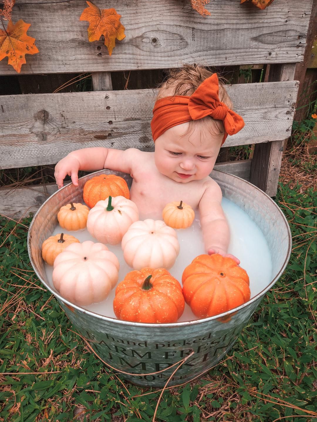6 Month Pumpkin Mini