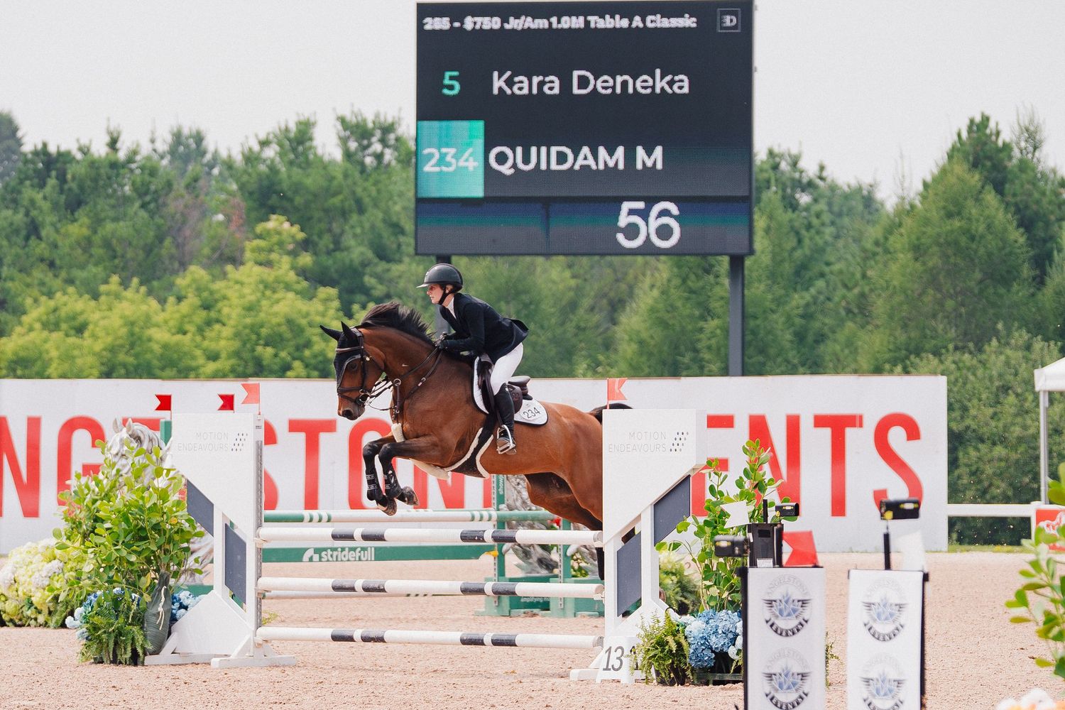 A competitive equestrian show jumping over obstacles during an outdoor competition at a grass arena.