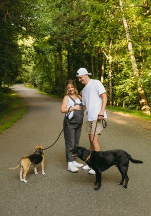 Two people walk their dogs together on a tree-lined path during a sunny afternoon.