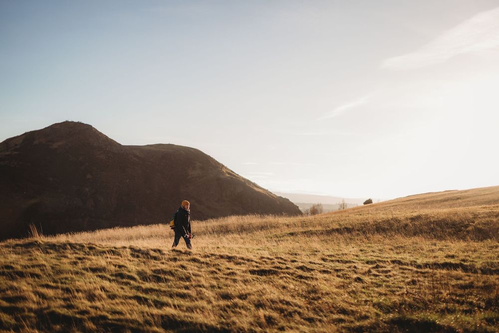 A majestic brown bear stands silhouetted against a misty mountain landscape at sunset.