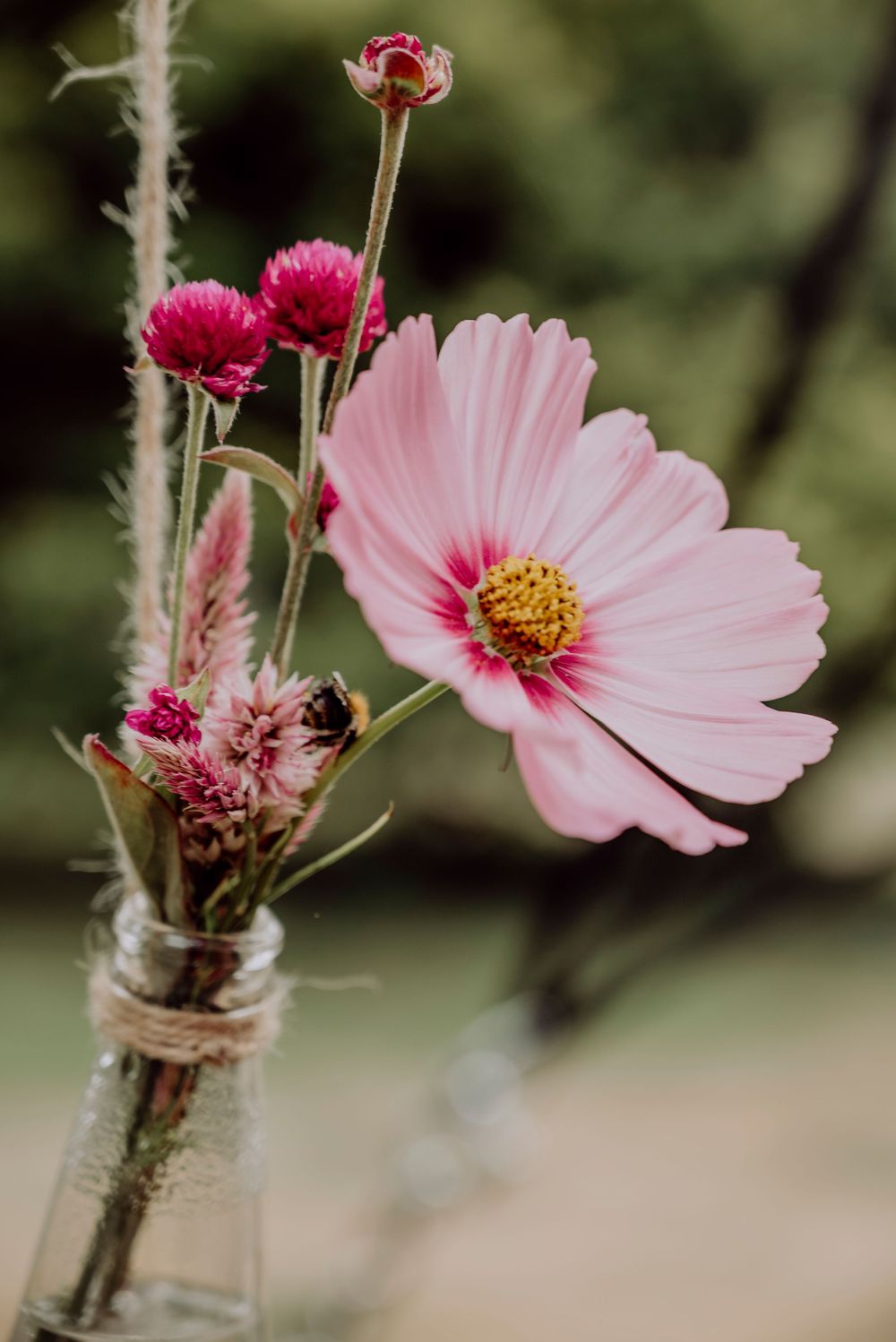 Pink cosmos flower and magenta blooms in a small glass vase tied with twine outdoors.