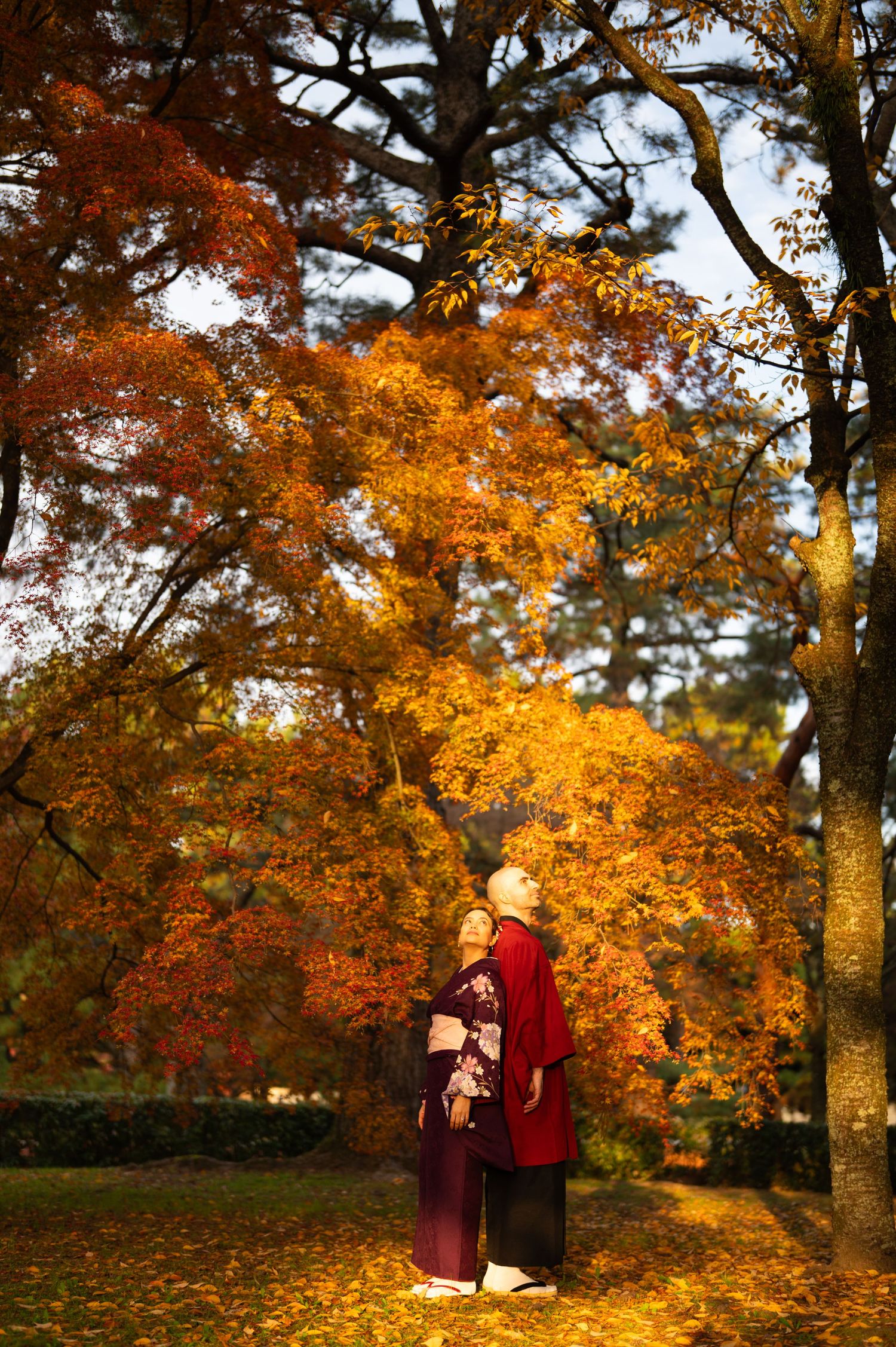 Couple in traditional Japanese kimono standing back-to-back beneath glowing golden and orange autumn maple trees.