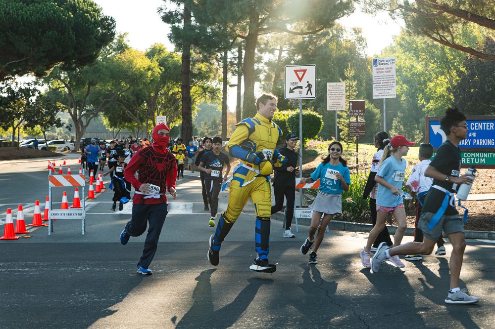 Group of runners racing on a tree-lined street during a sunny afternoon event.