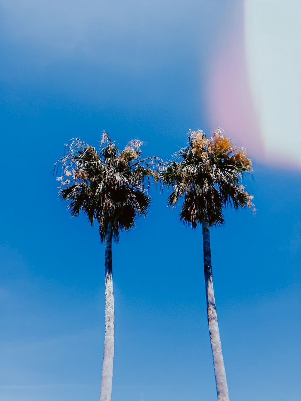Travel Photographer in Panama City Florida. Nature photos in the Florida Panhandle: Beaches, Bayou, Natural Springs, Skies, Plants, and more