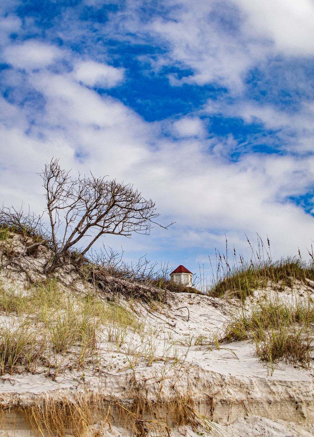 Travel Photographer in Panama City Florida. Nature photos in the Florida Panhandle: Beaches, Bayou, Natural Springs, Skies, Plants, and more