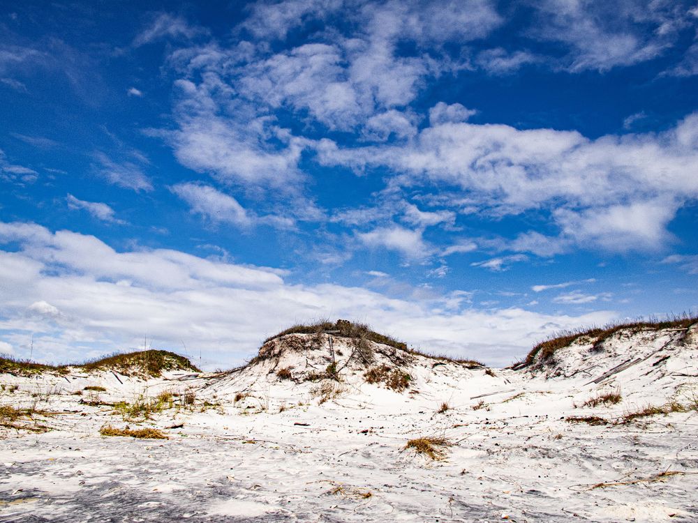 Travel Photographer in Panama City Florida. Nature photos in the Florida Panhandle: Beaches, Bayou, Natural Springs, Skies, Plants, and more