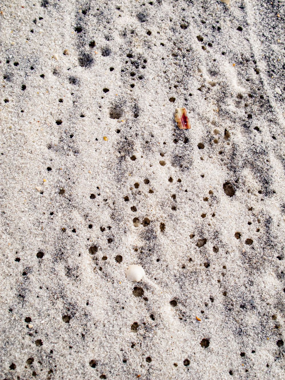 Travel Photographer in Panama City Florida. Nature photos in the Florida Panhandle: Beaches, Bayou, Natural Springs, Skies, Plants, and more