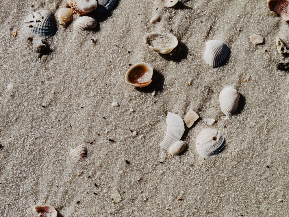 Travel Photographer in Panama City Florida. Nature photos in the Florida Panhandle: Beaches, Bayou, Natural Springs, Skies, Plants, and more