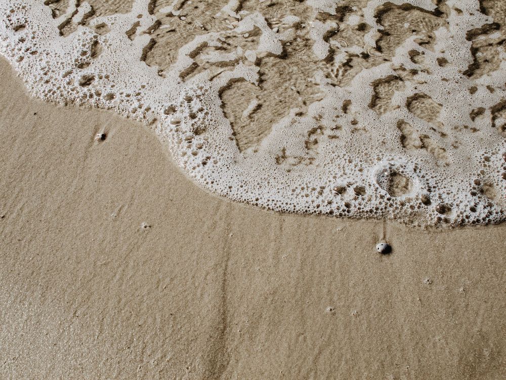 Travel Photographer in Panama City Florida. Nature photos in the Florida Panhandle: Beaches, Bayou, Natural Springs, Skies, Plants, and more