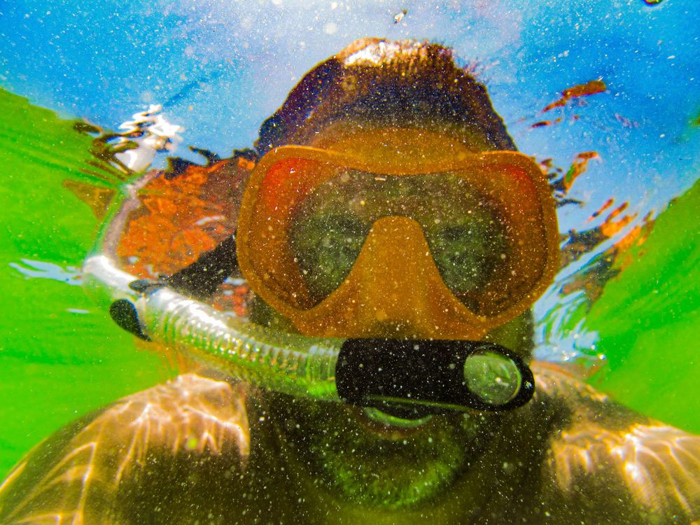 Travel Photographer in Panama City Florida. Nature photos in the Florida Panhandle: Beaches, Bayou, Natural Springs, Skies, Plants, and more