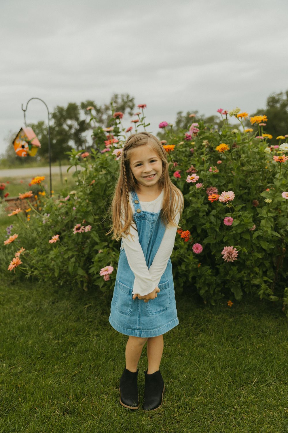 Colorful flower garden with blooming ranunculus and marigolds on a cloudy day.