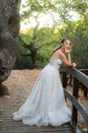 A bride in a sparkling white ball gown poses gracefully on a rustic wooden bridge in a natural outdoor setting.