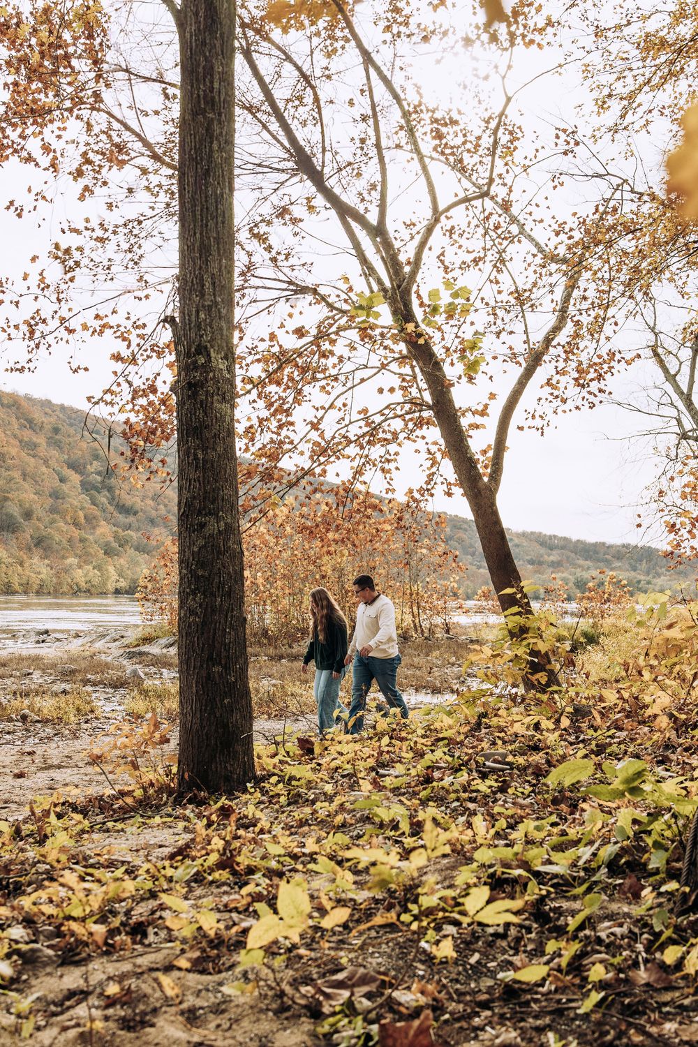Couple walks hand in hand among fall trees by a scenic river in autumn.