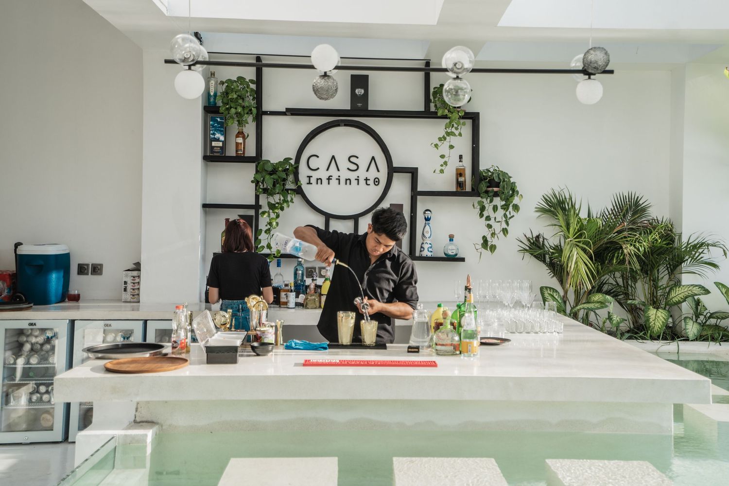 Modern white kitchen interior with marble countertops, plants and natural lighting showcases clean minimalist design.