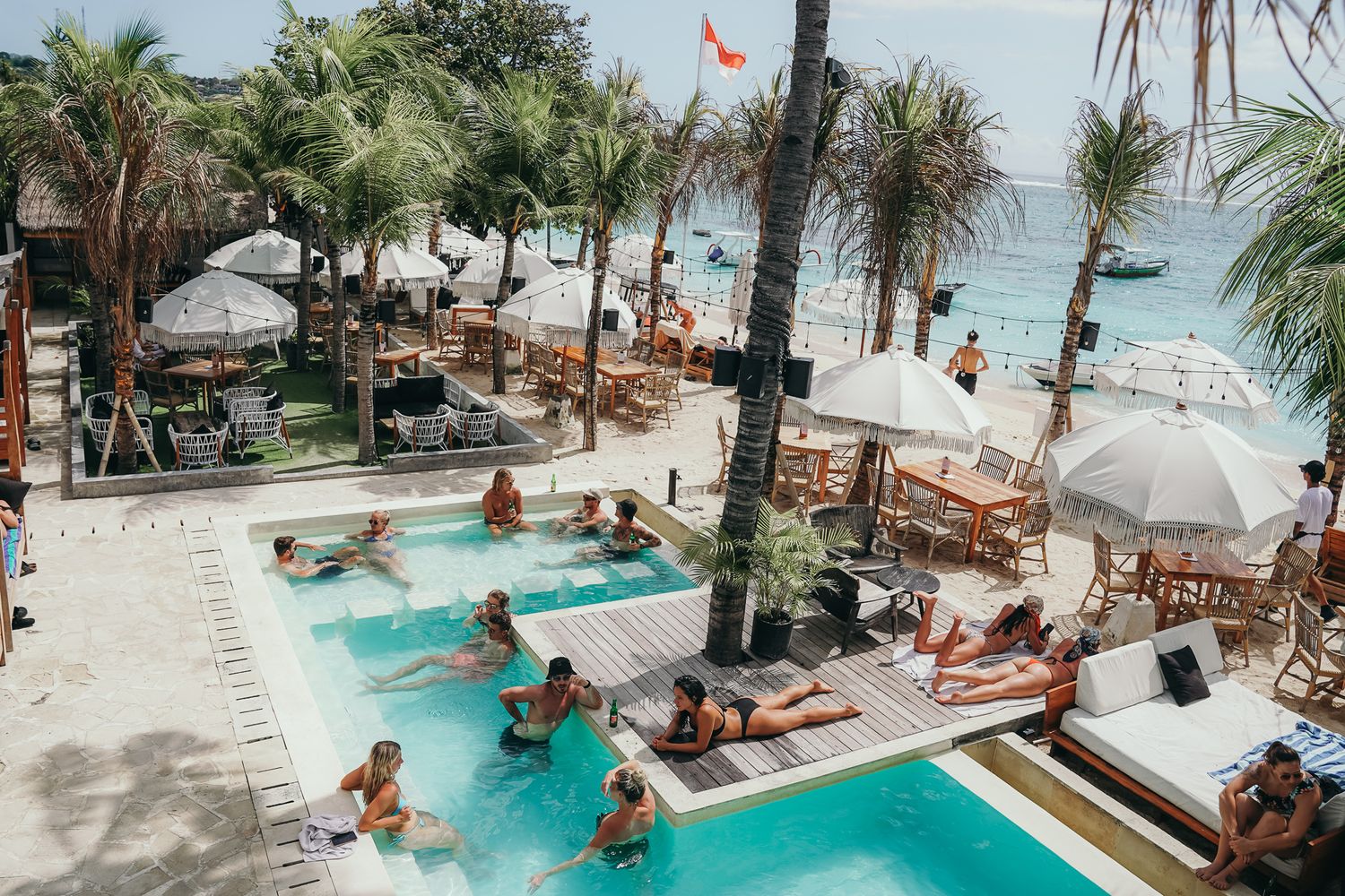 Beachfront resort pool with palm trees and lounge chairs overlooking the turquoise ocean on a sunny day.