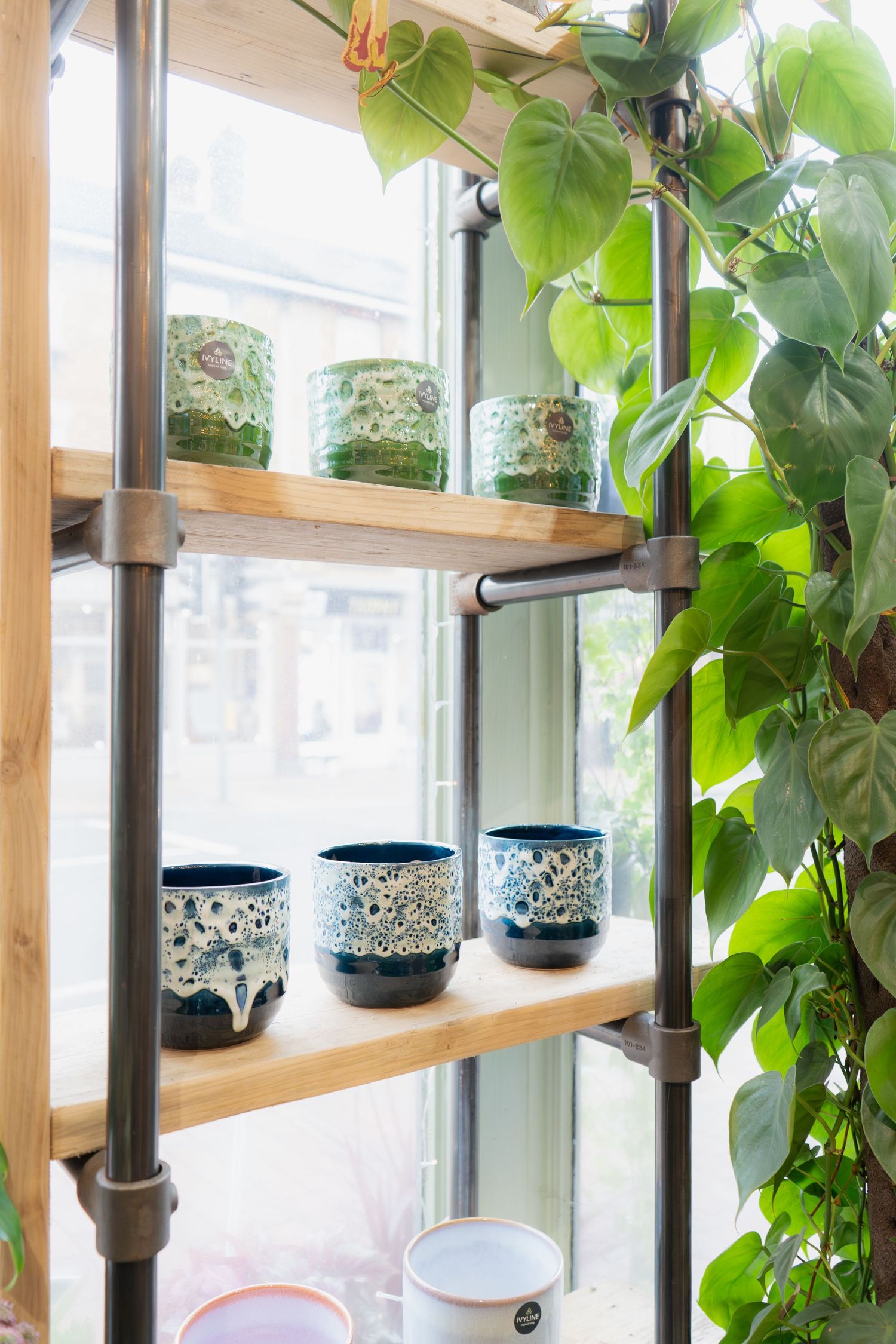 Small Business Stories by BLOOM Fabulous Photography in Tunbridge Wells | Roots | St John's Road | Tunbridge Wells