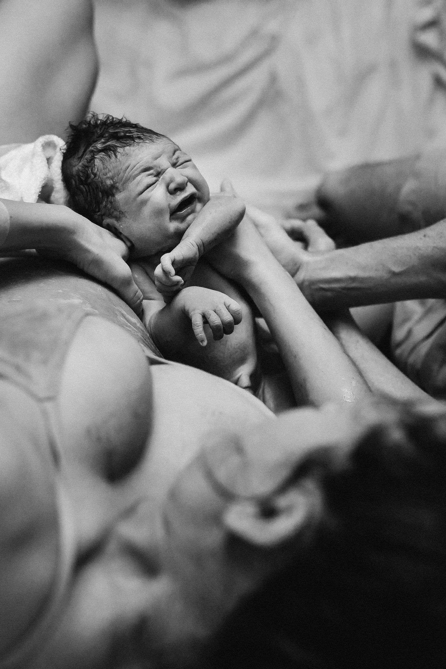cairns birth photographer; birth photographer; cairns birth photography