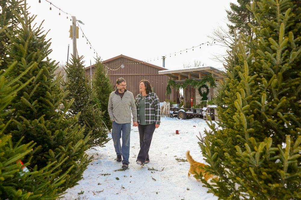Couple walking through the Christmas trees with their cat candid laughing photos.