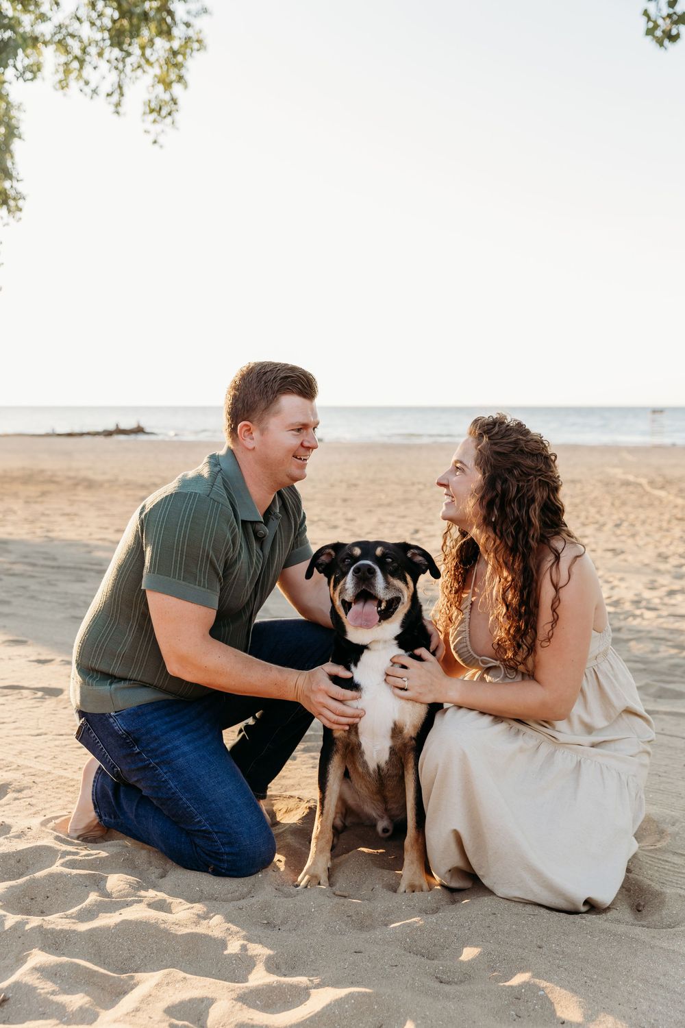 A couple sits on a sandy beach at sunset with their black and white dog, sharing intimate moments together. Cleveland Maternity Photographer