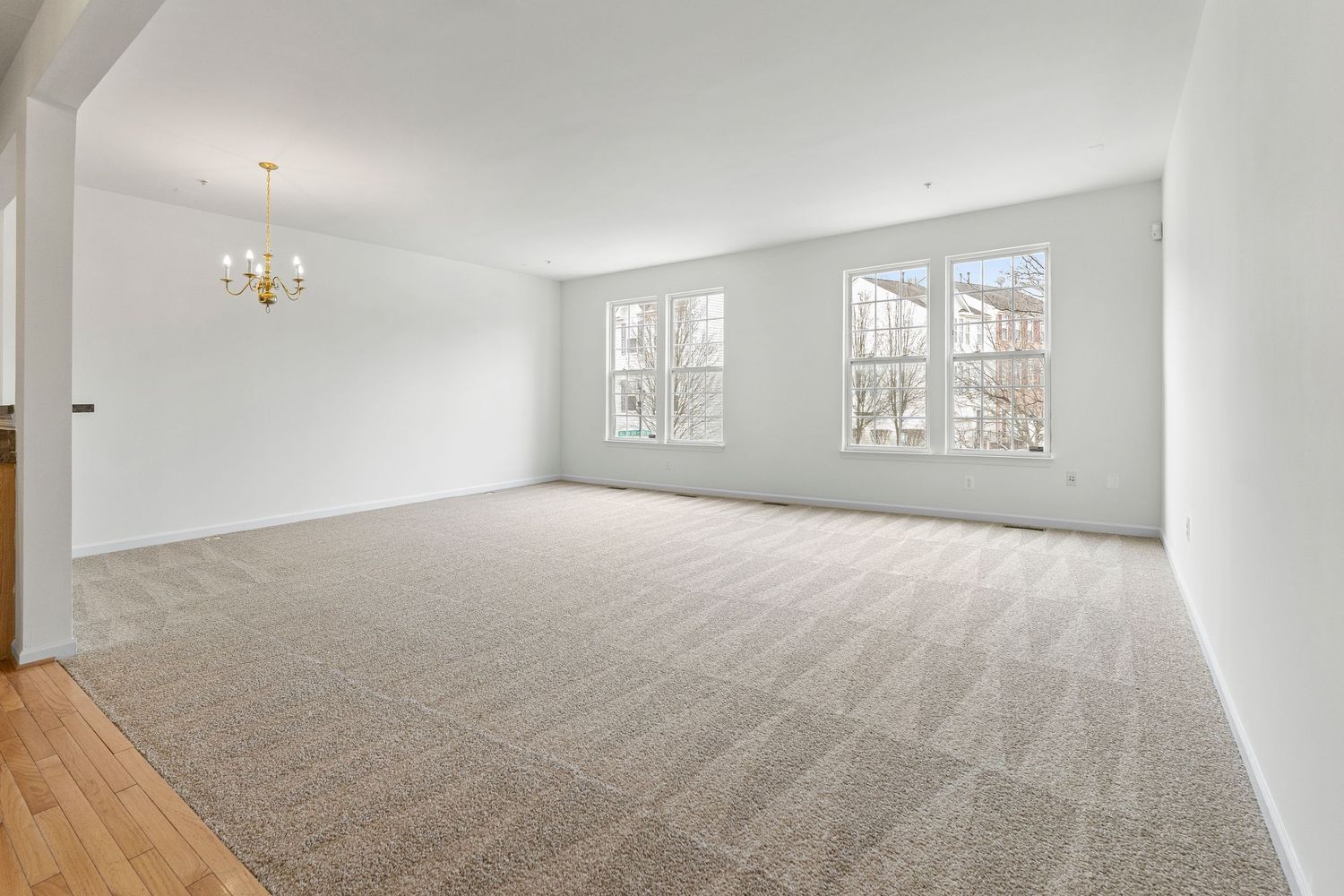 Spacious empty room with plush carpet flooring and large windows offering abundant natural light.