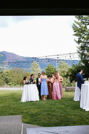 Wedding guests mingle on a grassy lawn with mountain views during an outdoor cocktail reception.