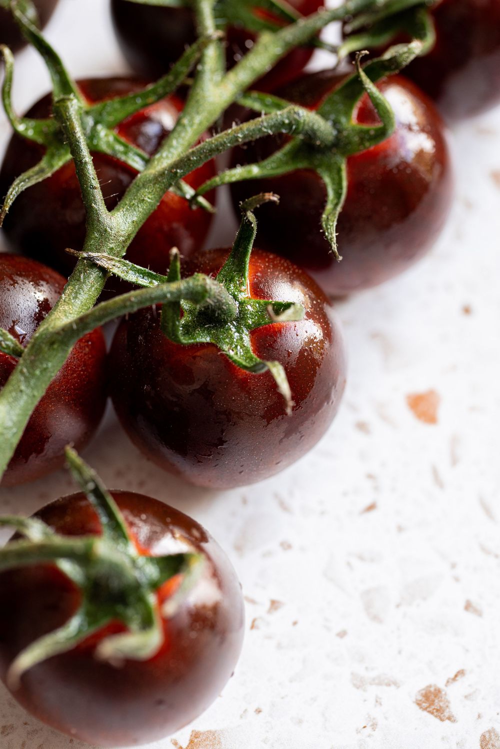 Fresh dark cherry tomatoes on vine with water droplets on white surface.