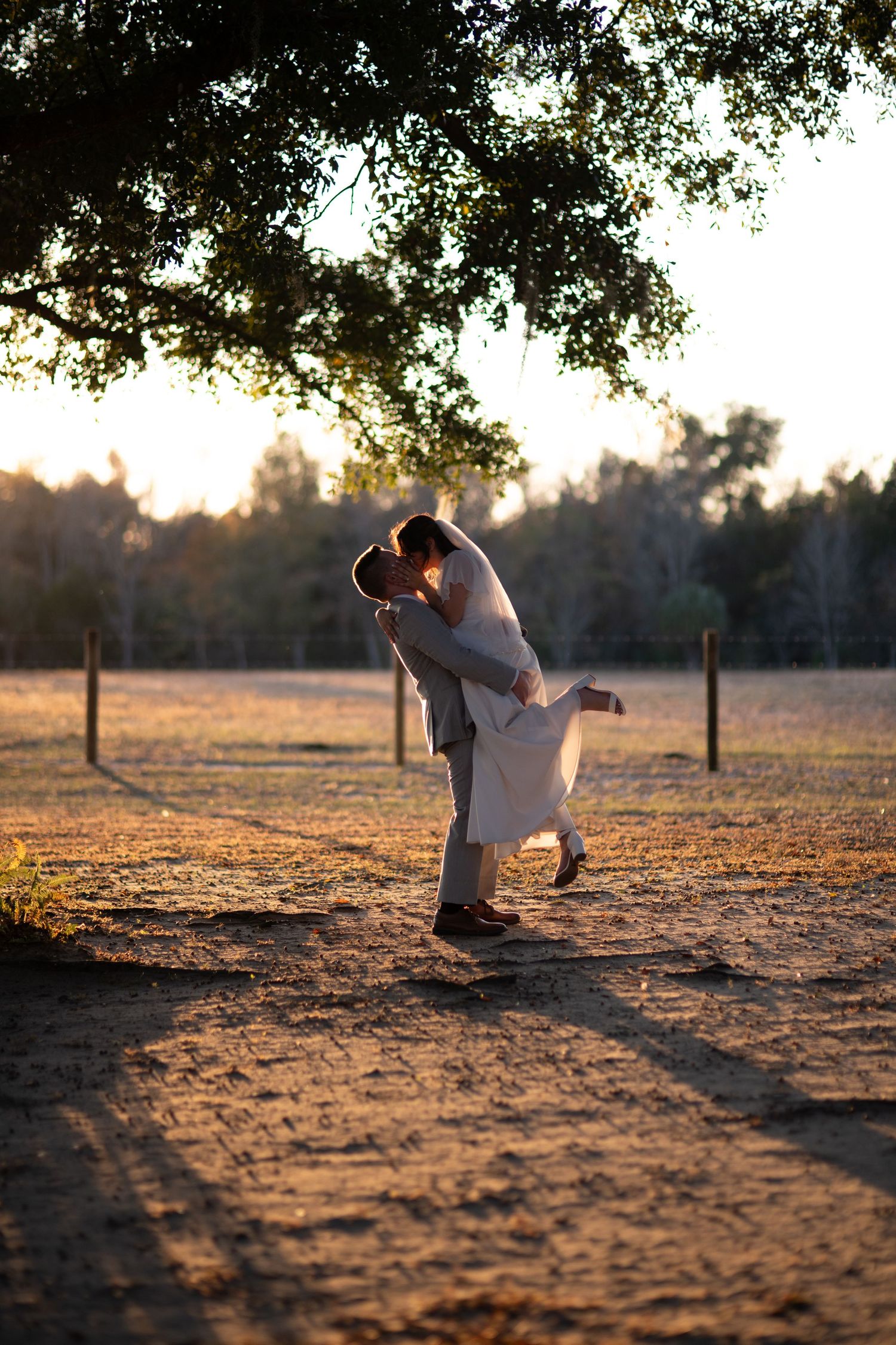 Couple sharing a romantic kiss at golden hour under a large oak tree in an open field at sunset.