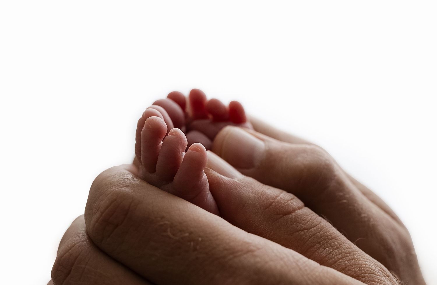 Backlit detail image of a newborns tiny toes, cradled in her father's strong hands, captured by Charlottesville family photographer.