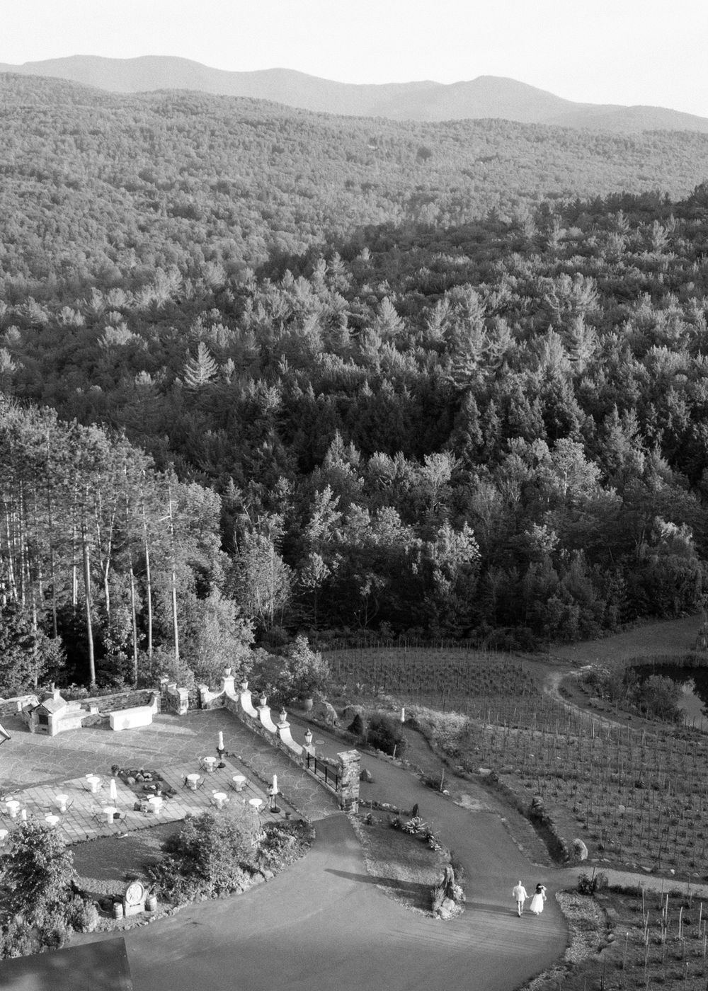 Aerial black and white view of a mountain vineyard estate surrounded by dense forest and rolling hills.