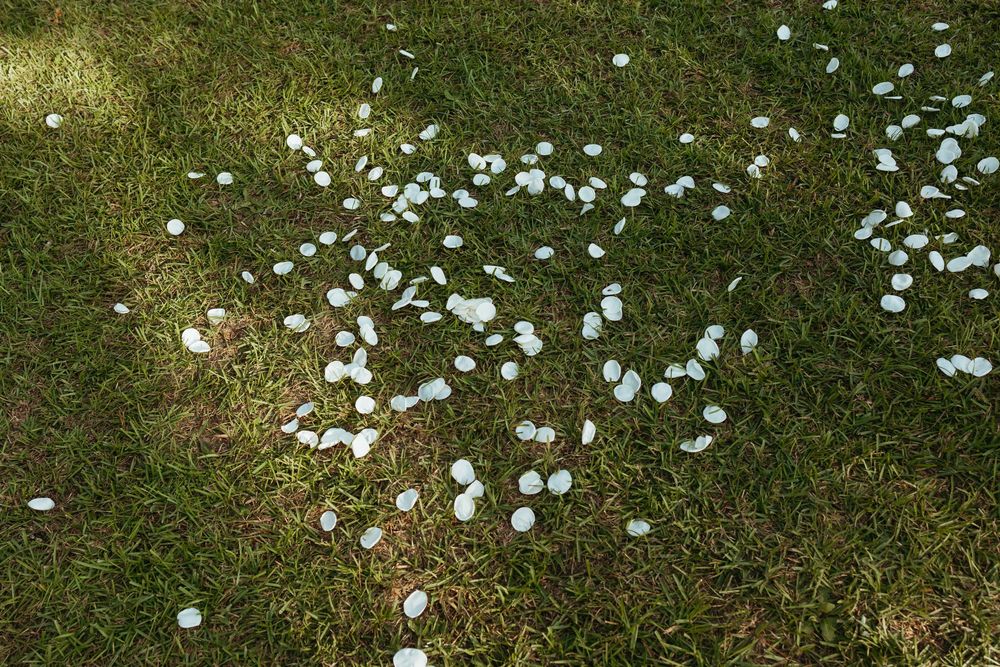 Scattered white hailstones covering green grass lawn after a hailstorm.