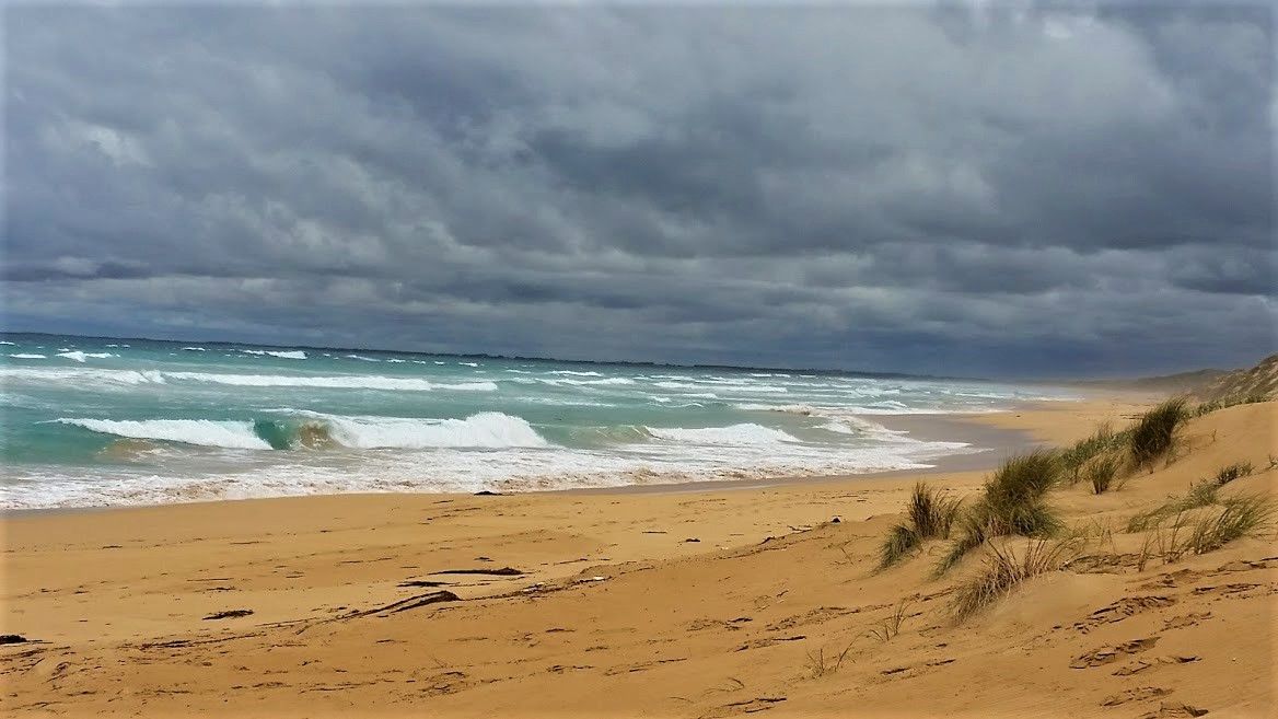 Beachscape