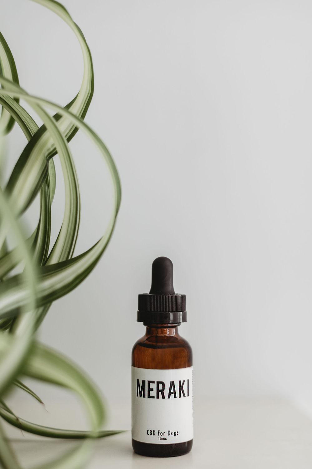 Brown glass dropper bottle labeled Meraki with air plant in soft focus against white background.