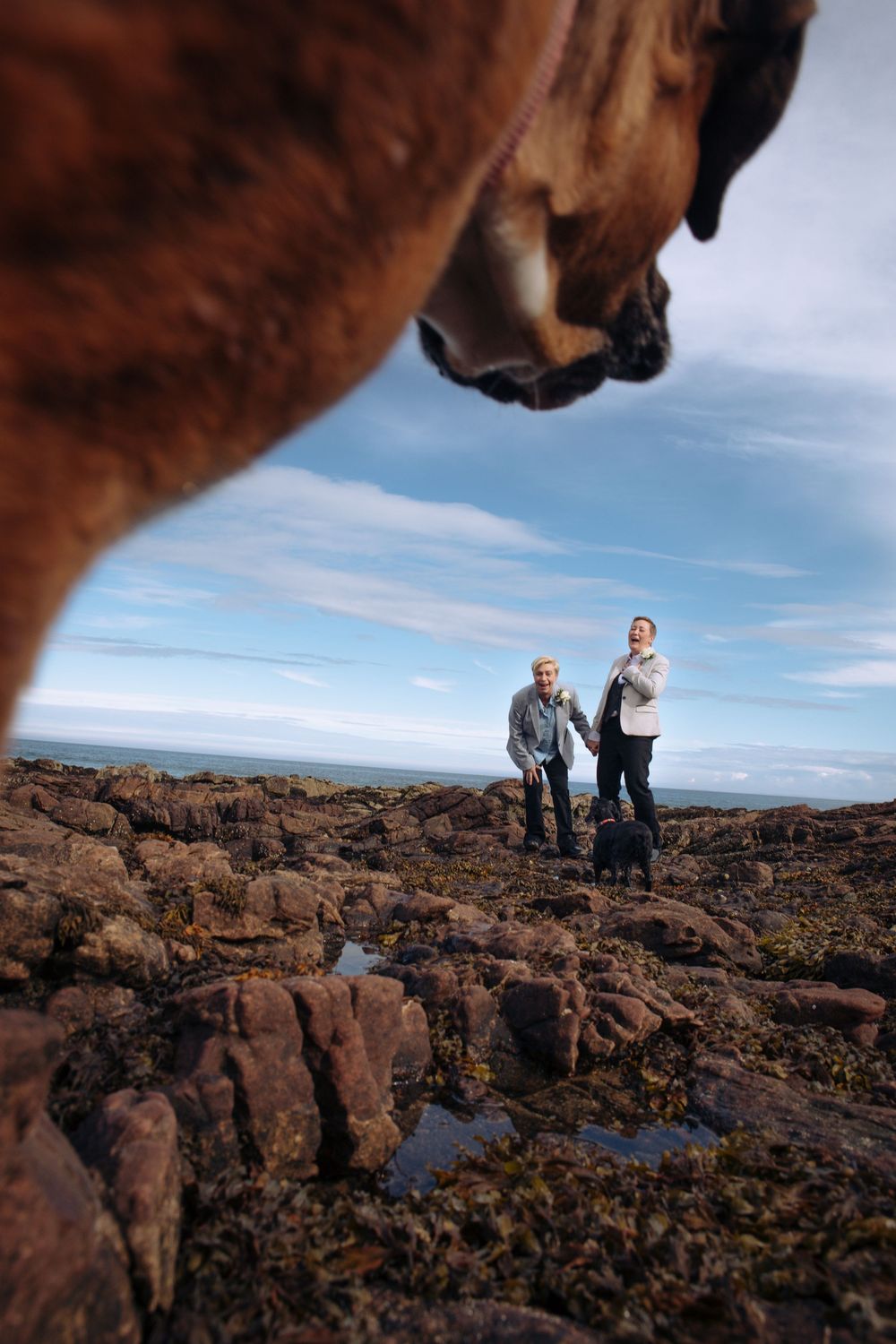 A dog sniffs the camera while two people stand on rocky coastal terrain under a blue sky.