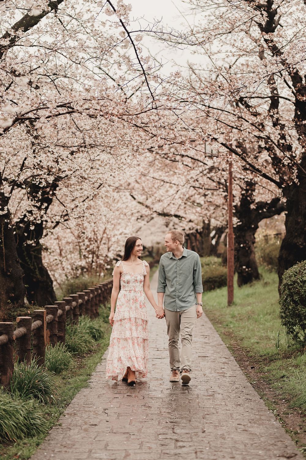 A romantic couple walking under blooming cherry blossoms along a stone path in spring.
