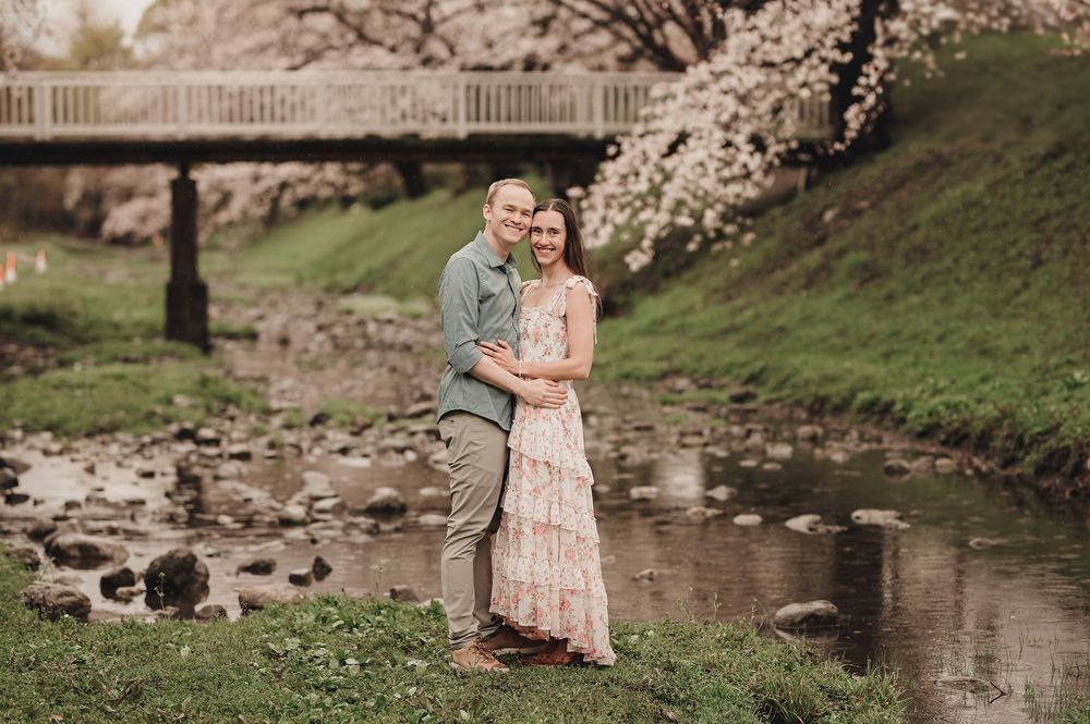 A romantic spring scene with cherry blossoms blooming by a creek with a stone bridge in the background.