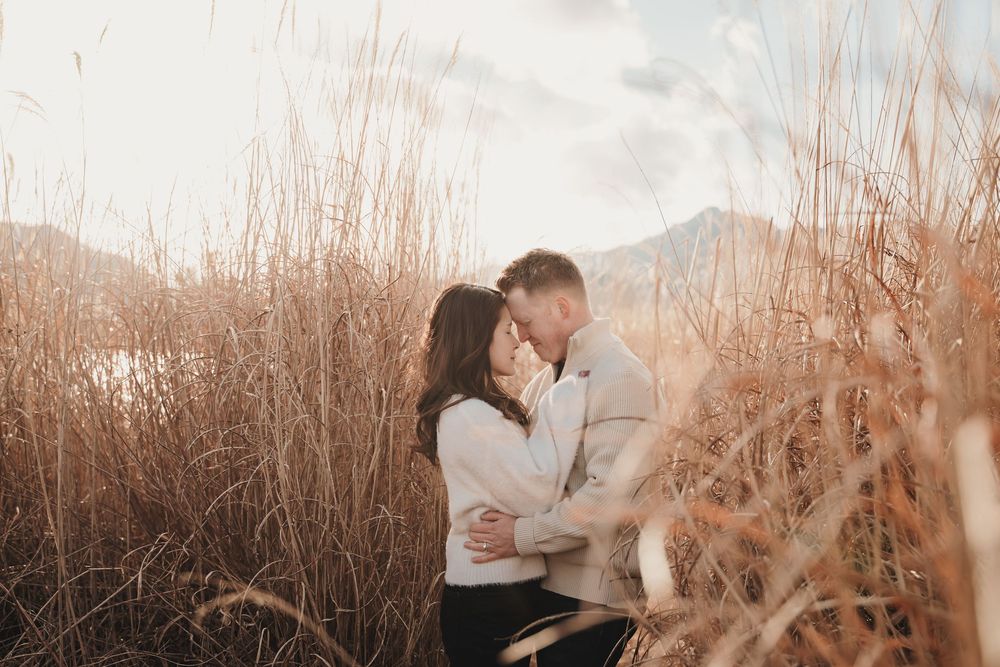 A couple sharing an intimate moment in tall golden grass during sunset with mountains in the background.