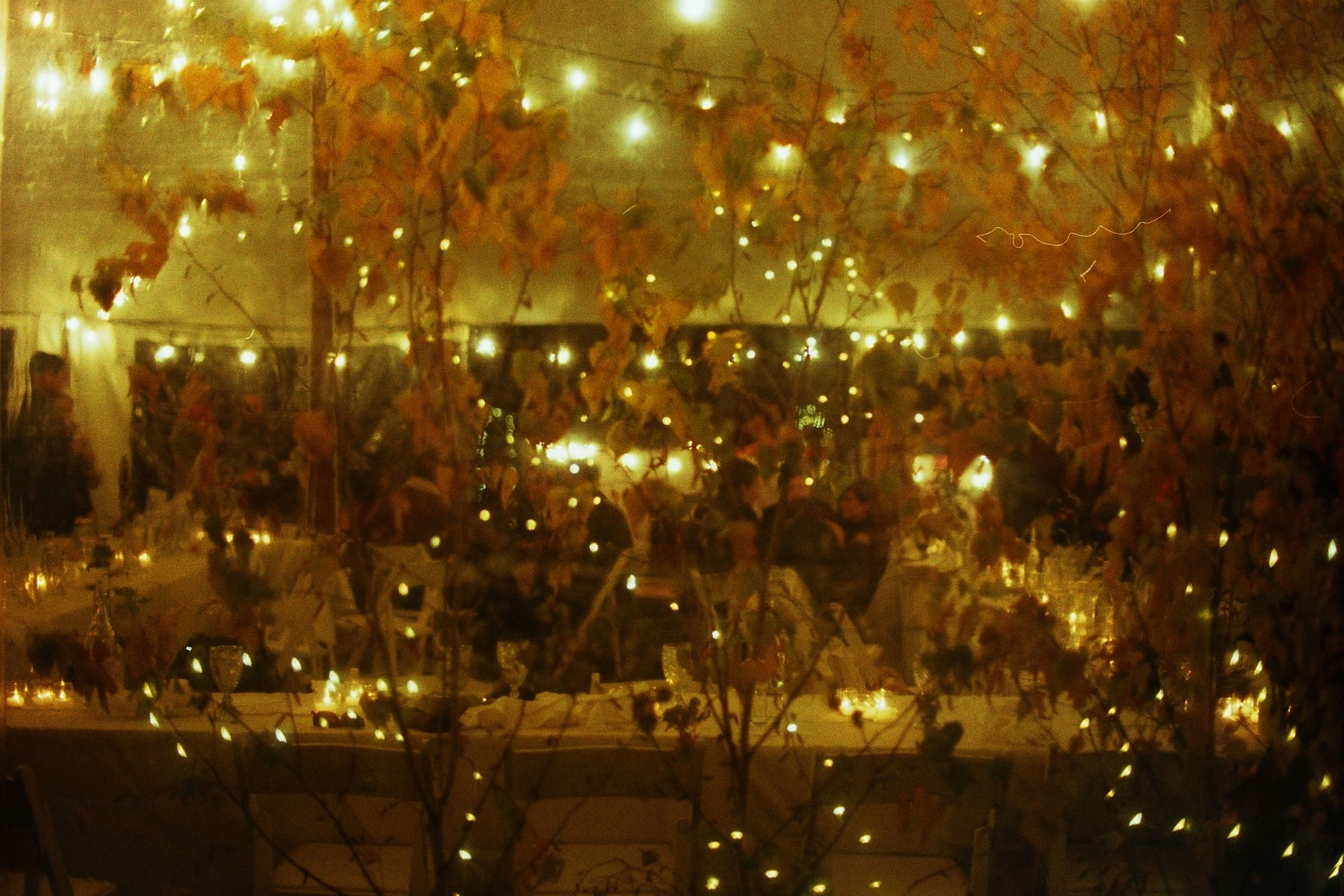 Warm golden fairy lights glowing among autumn orange leaves creating a magical festive atmosphere.