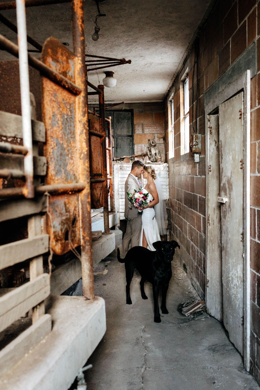 creative bride and groom portraits with dog on a farm