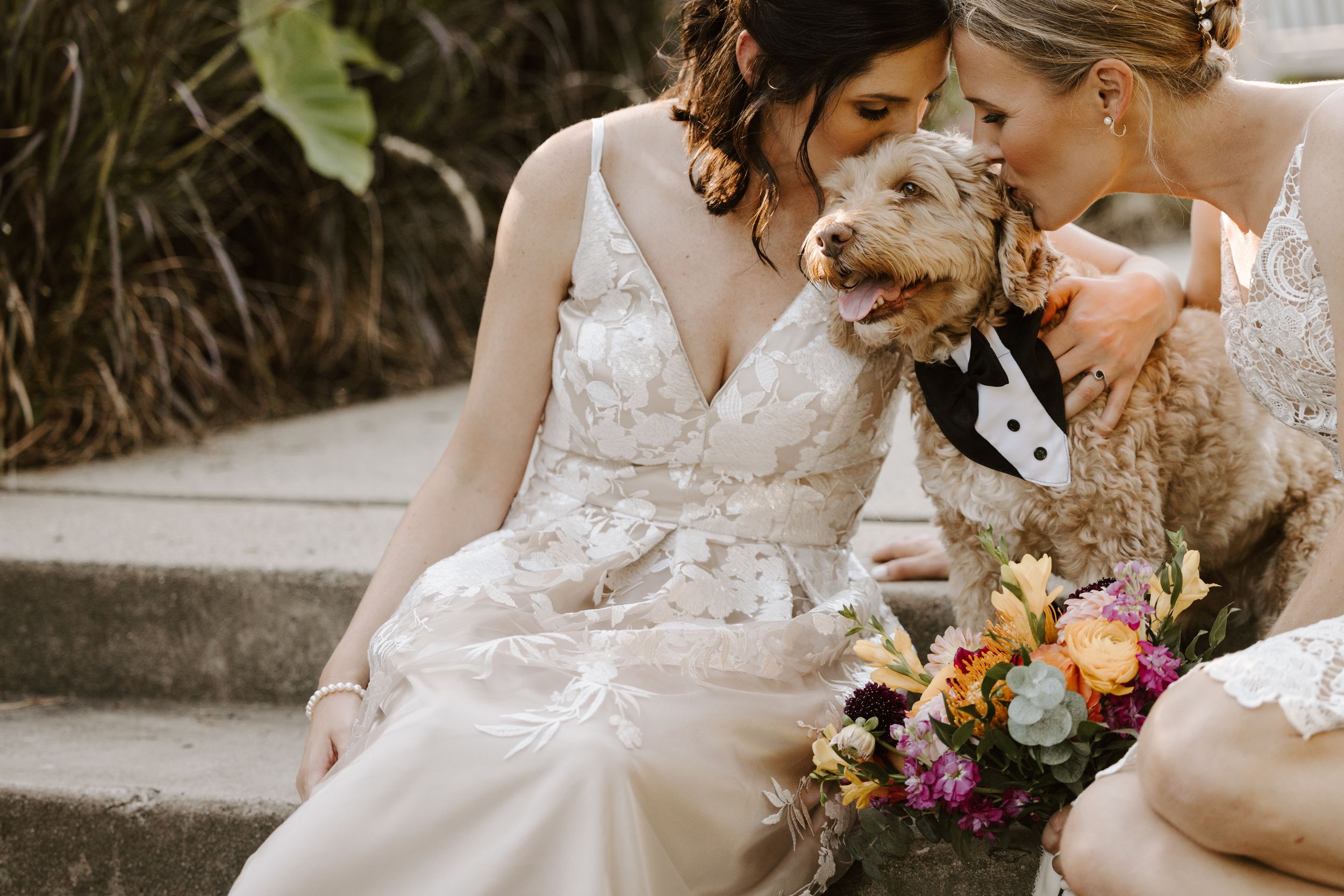 Two brides in white lace wedding dresses share tender moment with small dog while holding colorful bouquet on stone steps.