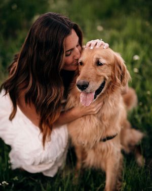 Golden retriever sharing affectionate moments with owner in grassy field.