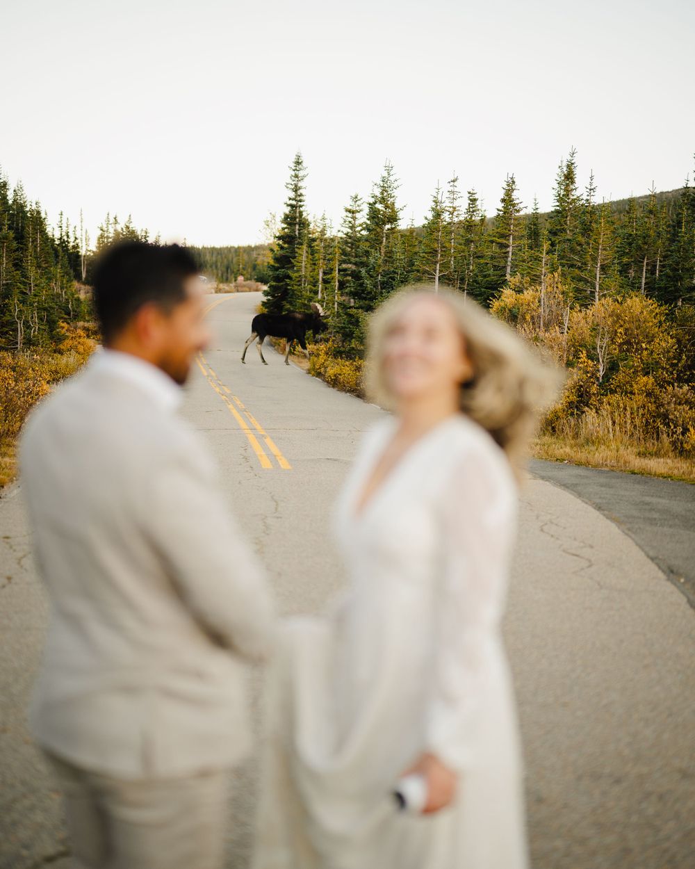 Dreamy motion blur portrait of couple on mountain road with evergreen trees.
