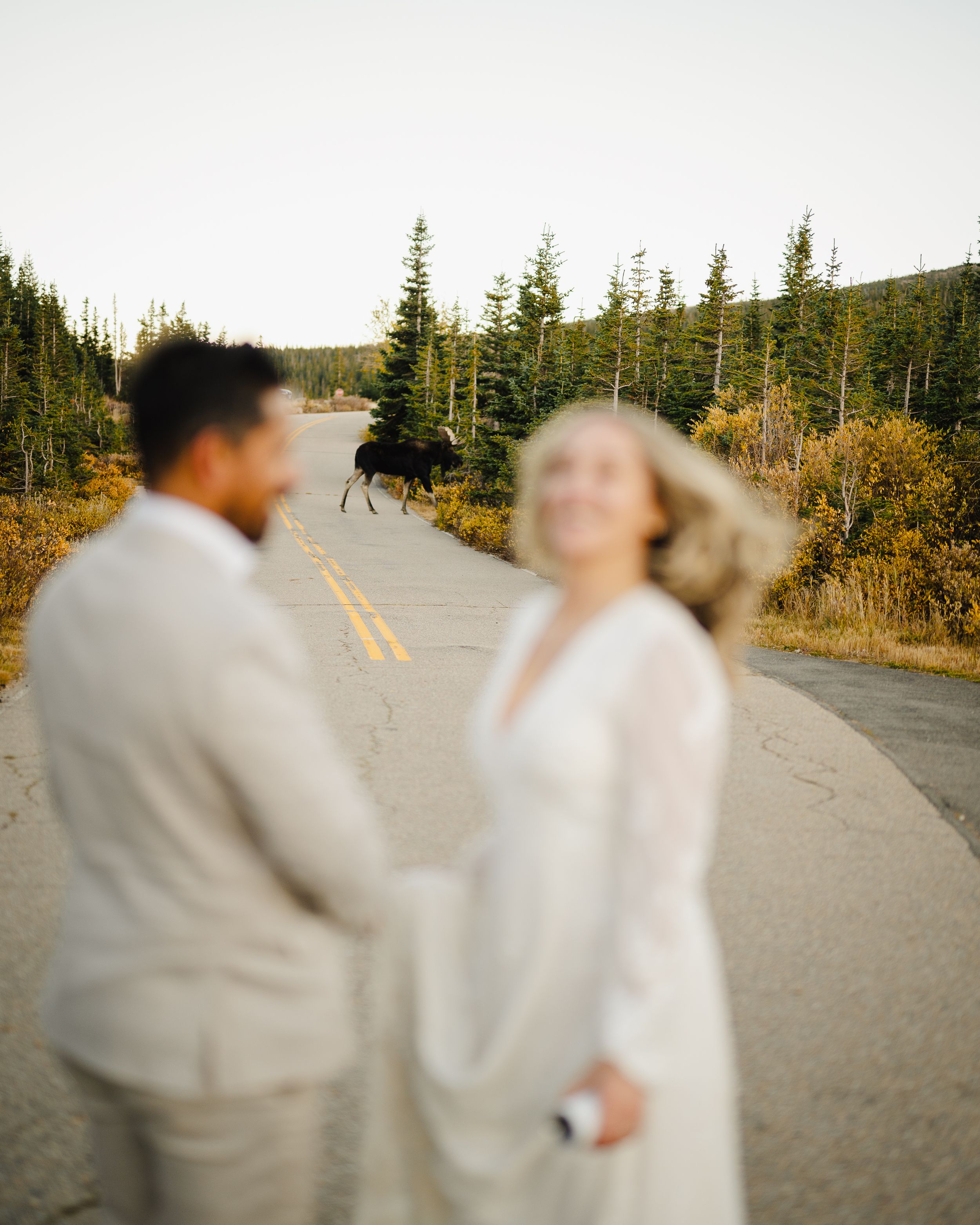 Dreamy motion blur portrait of couple on mountain road with evergreen trees.