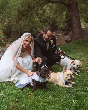 Bride and groom crouching on grass with three bulldogs dressed in wedding attire during outdoor wedding celebration.