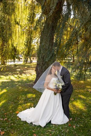 Romantic wedding couple shares intimate moments under a golden weeping willow tree in an autumn garden setting.