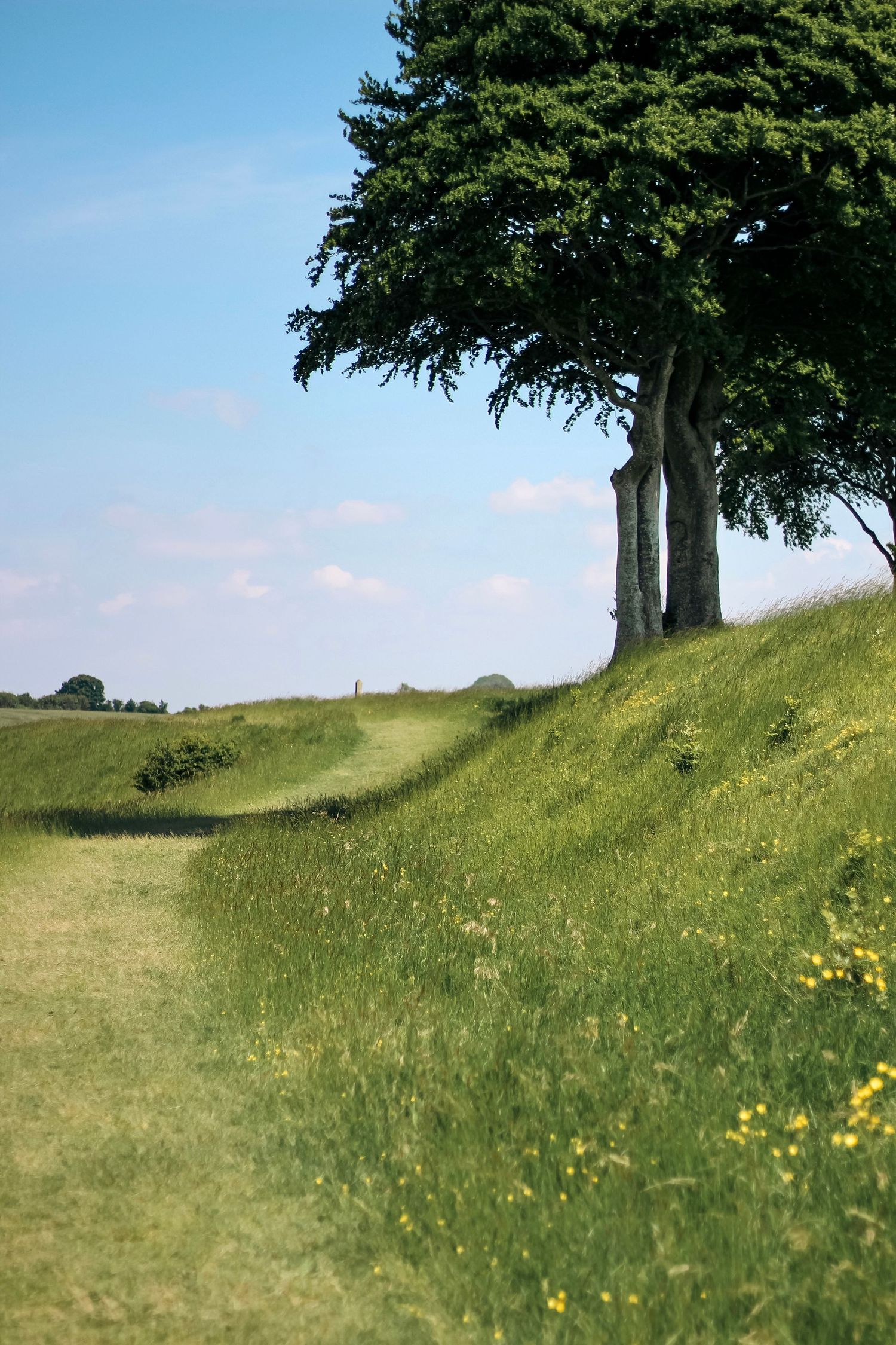 Round way down landscape photo for business branding package.Devizes, Wiltshire.