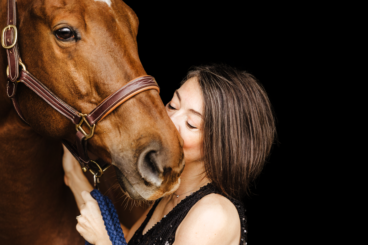 Equine Session